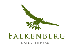 Naturheilpraxis Falkenberg Heilpraktikerin Bad Soden MTK